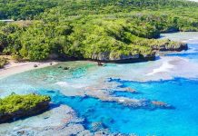 Niue Mutfağı Niue Mutfağı, Güney Pasifik’in küçük ama zengin kültürel geçmişe sahip adası Niue’nin geleneksel yemeklerini ve beslenme alışkanlıklarını yansıtır. Ada halkı yüzyıllardır deniz ürünleri, tropikal meyveler ve kök sebzeleri kullanarak kendine özgü tarifler geliştirmiştir. Hindistancevizi, taro, balık ve muz, Niue mutfağının temel ögeleri arasında yer alır.