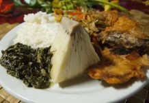 Tonga Mutfağı Tonga mutfağı, Pasifik Okyanusu’nun ortasında yer alan bu ada ülkesinin zengin kültürel yapısını yansıtan özel bir gastronomi dünyası sunar. Tarih boyunca hem coğrafi konum hem de ada halkının yaşam biçimi, Tonga mutfağının şekillenmesinde önemli bir rol oynamıştır. Tropikal iklim, bol deniz ürünleri, taro, muz, hindistancevizi gibi yerel ürünler mutfağın temel taşlarını oluşturur. Ayrıca toplumsal yaşamda yemeklerin paylaşılması, aile bağlarının güçlenmesine katkı sağlar. Bu nedenle Tonga mutfağı yalnızca damak tadı değil, aynı zamanda bir kültürel miras olarak da değerlendirilir. Konulu bir haber görseli.