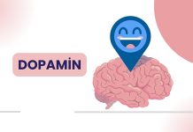 Dopamin Diyeti Zihinsel Motivasyonu Ve Enerjiyi Destekleyen Beslenme Yaklaşımı Modern yaşamda motivasyon eksikliği, odaklanma sorunları ve zihinsel yorgunluk giderek daha sık konuşulan konular arasında yer alıyor. Bu noktada beynin ödül ve motivasyon sistemiyle doğrudan ilişkili olan dopamin hormonu ön plana çıkıyor. Dopamin diyeti, yalnızca fiziksel ihtiyaçlara değil, zihinsel performans ve ruhsal dengeye de odaklanan bütüncül bir beslenme yaklaşımı olarak dikkat çekiyor. Konulu bir haber görseli.