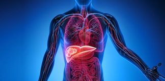 Karaciğer Temizleme Diyeti ile Sağlıklı Bir Vücut İçin Doğal Arınma Rehberi Karaciğer, vücudun en önemli detoks organlarından biridir ve sağlıklı çalışması genel sağlık açısından kritik bir rol oynar. Modern yaşamda işlenmiş gıdalar, alkol ve stres gibi faktörler karaciğerin yükünü artırabilir. Bu nedenle karaciğer temizleme diyeti, vücudu toksinlerden arındırmak, metabolizmayı desteklemek ve enerji seviyelerini yükseltmek için etkili bir yöntem olarak öne çıkıyor. Bu diyet, doğru uygulandığında hem besleyici hem de güvenli bir yaşam tarzı sağlar. Konulu bir haber görseli.
