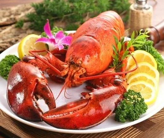 Deniz ürünleri denildiğinde akla gelen en prestijli seçeneklerden biri olan ıstakoz, hem gurme mutfakların hem de lüks restoranların vazgeçilmezleri arasında yer alıyor. Son yıllarda artan gastronomi merakı ve dünya mutfağına olan ilgiyle birlikte ıstakoz tüketimi de dikkat çekici biçimde yükselmiş durumda. Özellikle özel günlerde ve seçkin davet sofralarında tercih edilen bu deniz ürünü, lezzeti kadar görsel sunumuyla da öne çıkıyor. Konulu bir haber görseli.