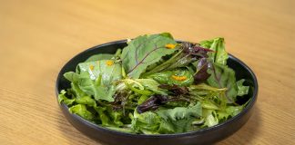 Salata Malzemeleriyle Hafif Ve Dengeli Beslenmenin Yükselişi Günümüzde beslenme alışkanlıklarının değişmesiyle birlikte daha hafif, pratik ve doğal öğünlere yönelim dikkat çekiyor. Bu dönüşümün merkezinde ise salata malzemeleri yer alıyor. Artık salata, yalnızca yemeklerin yanında sunulan basit bir tabak olmaktan çıkıp başlı başına bir öğün olarak değerlendiriliyor. Farklı malzemelerin bir araya gelmesiyle hazırlanan salatalar, hem doyurucu hem de besleyici özellikleriyle öne çıkıyor. Konulu bir haber görseli.