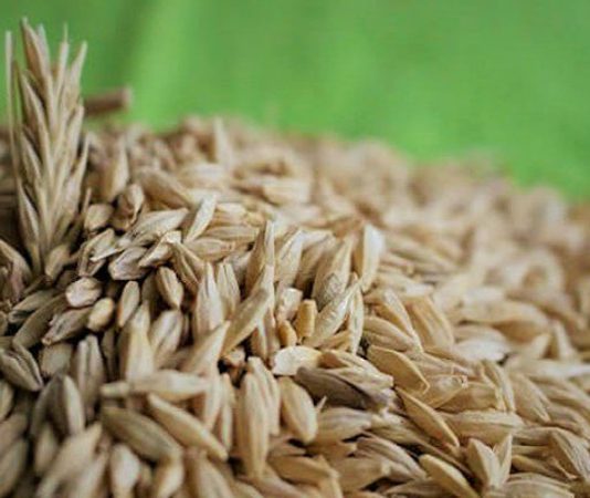 Tam Buğday Ürünleri İle Doğal Ve Dengeli Beslenmeye Güçlü Bir Adım Beslenme alışkanlıklarının değişmesiyle birlikte sofralarda daha doğal ve geleneksel ürünlere yönelim giderek artıyor. Bu dönüşümün merkezinde yer alan tam buğday ürünleri, hem geçmişten gelen bir beslenme kültürünü temsil ediyor hem de modern yaşamın ihtiyaçlarına cevap veriyor. Günümüzde ekmekten makarnaya, undan gevreğe kadar pek çok ürünün tam buğday alternatifi bulunması, bu alandaki farkındalığın yükseldiğini açıkça gösteriyor. Konulu bir haber görseli.