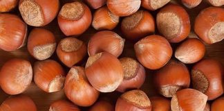 Fındık, Badem ve Ceviz Sağlıklı Beslenmenin Vazgeçilmez Üçlüsü Sağlıklı beslenme denildiğinde akla gelen ilk doğal gıdalar arasında fındık, badem ve ceviz yer alıyor. Yüzyıllardır hem geleneksel mutfaklarda hem de modern beslenme programlarında önemli bir konuma sahip olan bu kuruyemişler, zengin besin değerleriyle dikkat çekiyor. Günlük hayatta ara öğünlerden kahvaltı sofralarına, tatlılardan salatalara kadar pek çok alanda kullanılan bu ürünler, doğal yapıları sayesinde dengeli beslenmenin temel taşlarından biri olarak görülüyor. Konulu bir haber görseli.